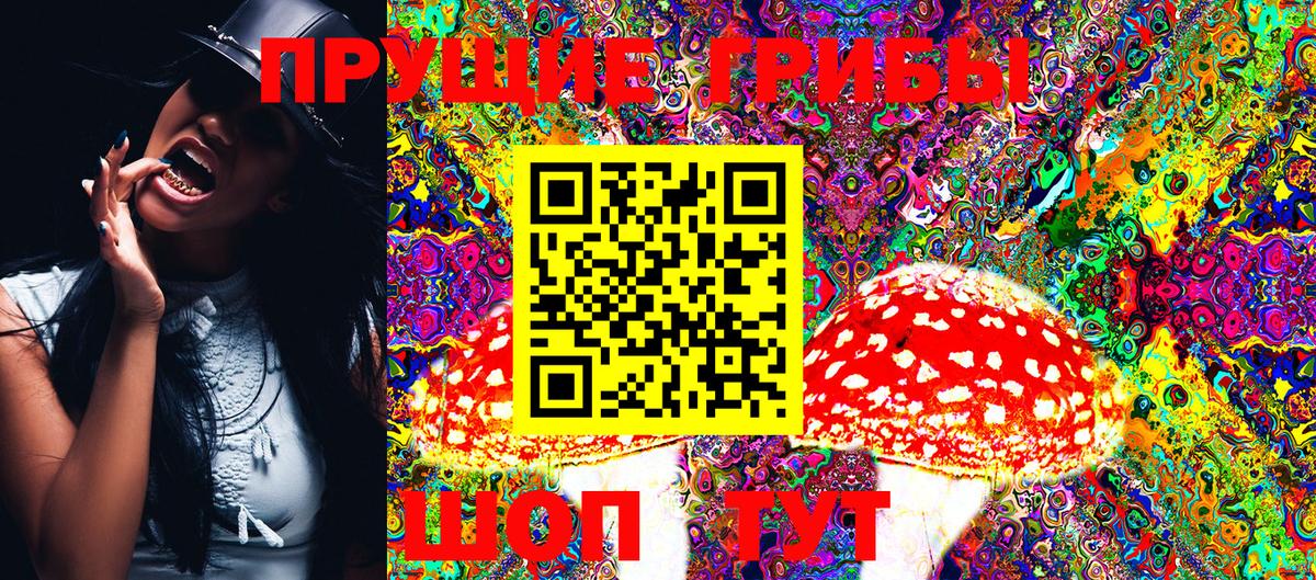 Кириши  Галлюциногенные грибы Magic Shrooms  Вход с VPN 